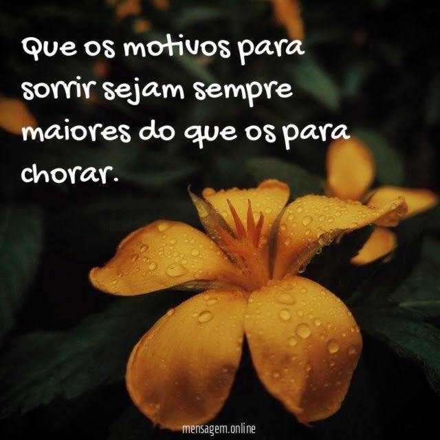 Que os motivos para sorrir sejam sempre maiores