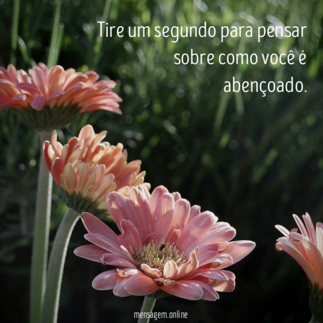 Tire um segundo para pensar sobre como você é abençoado