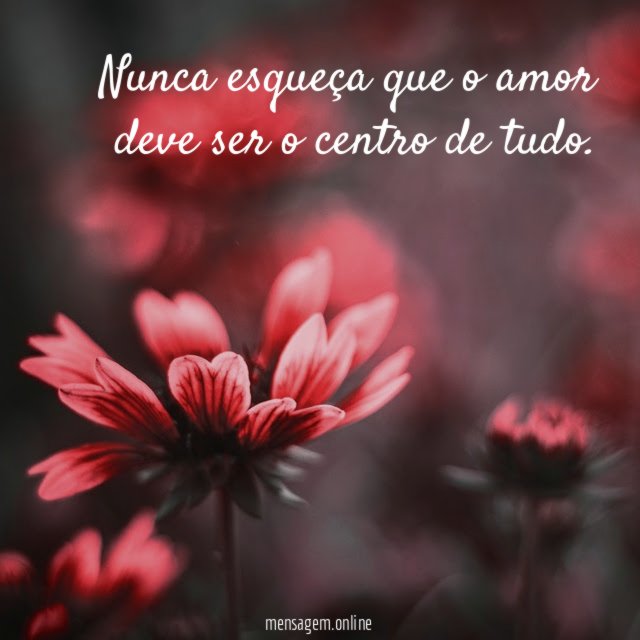 Nunca esqueça que o amor deve ser o centro de tudo