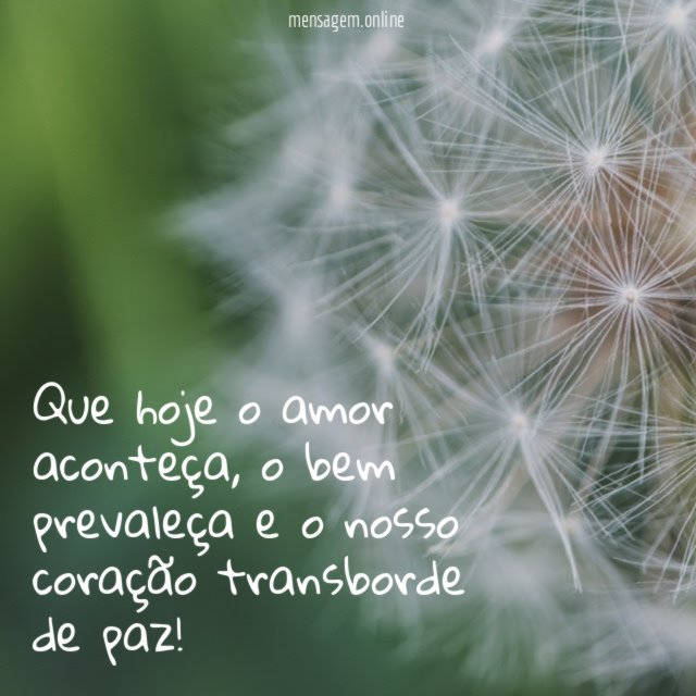 Que hoje o amor aconteça