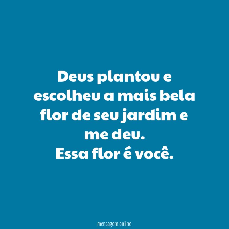 Deus plantou e escolheu a mais bela flor
