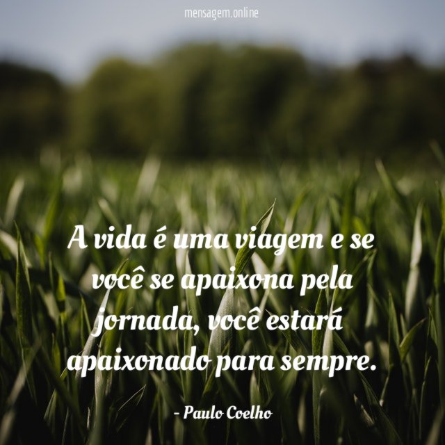 A vida é uma viagem e se você se apaixona pela jornada