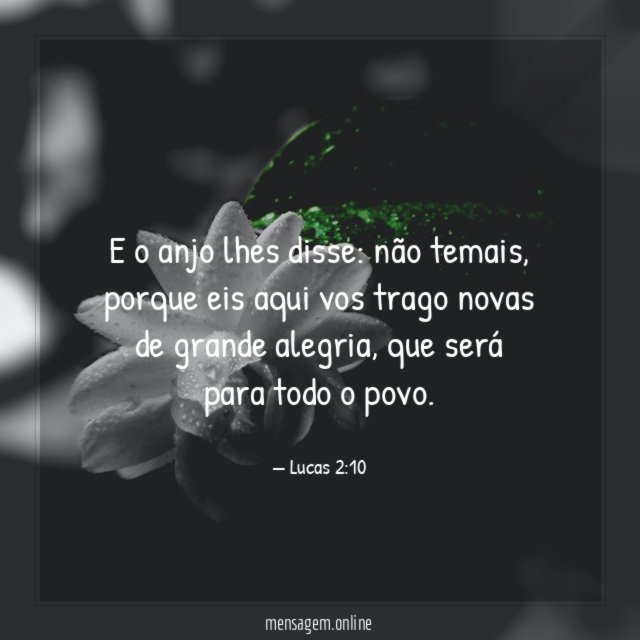 E o anjo lhes disse