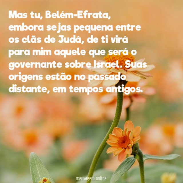 Mas tu