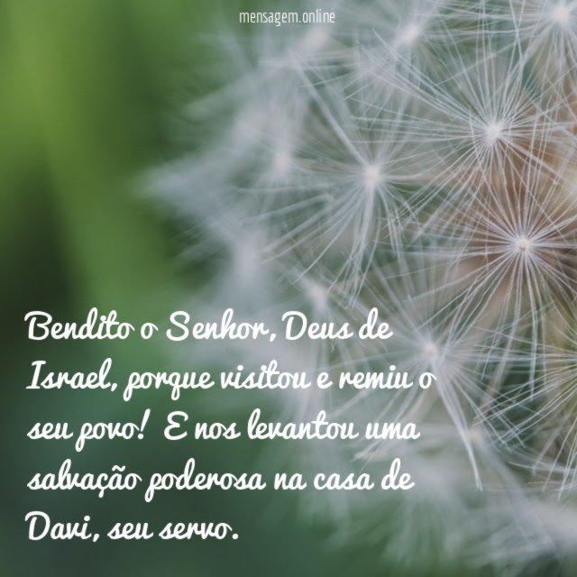 Bendito o Senhor