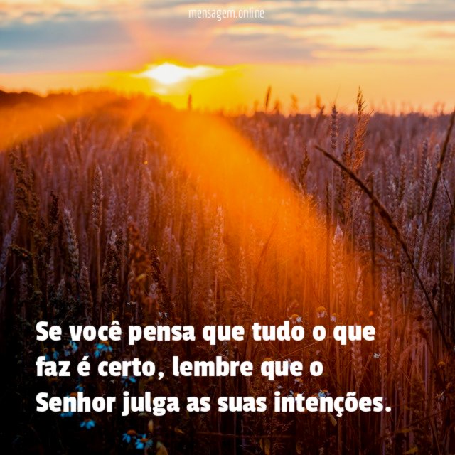 Se você pensa que tudo o que faz é certo