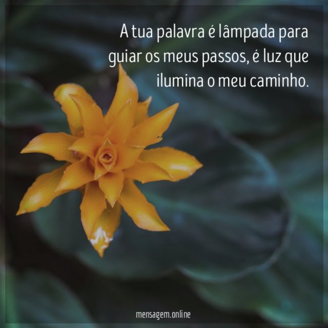 A tua palavra é lâmpada para guiar os meus passos