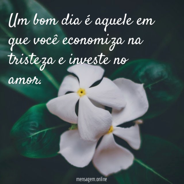 Um bom dia é aquele em que você