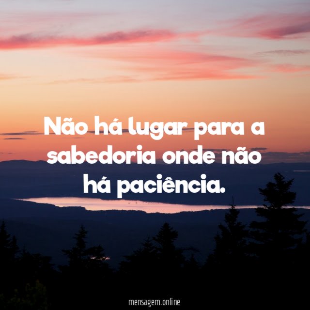 Não há lugar para a sabedoria onde não