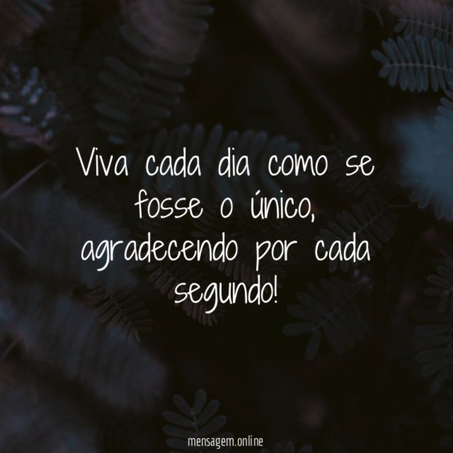 Viva cada dia como se fosse o único