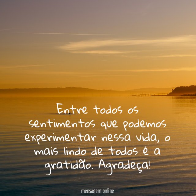 Entre todos os sentimentos que podemos experimentar nessa vida