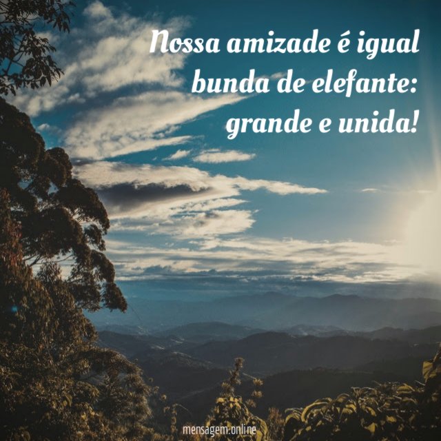 Nossa amizade é igual bunda de elefante