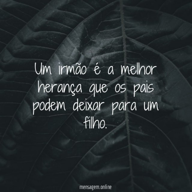 Um irmão é a melhor herança que os