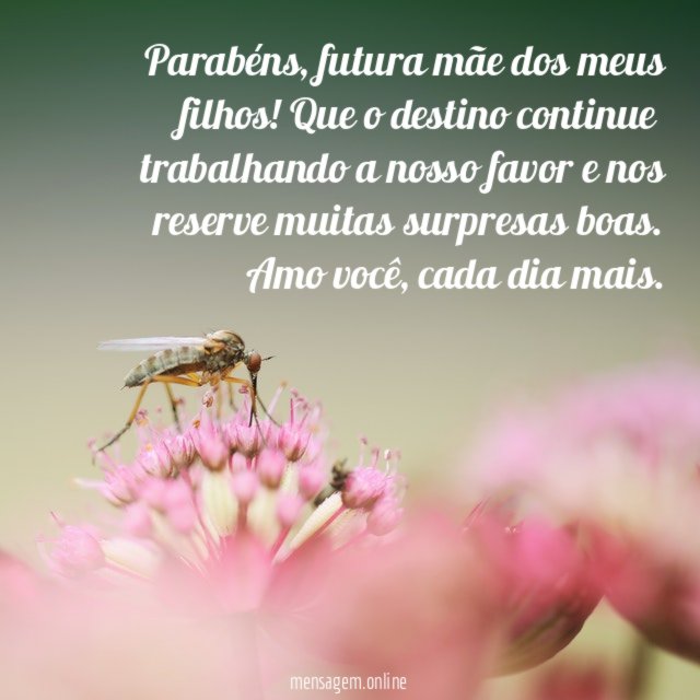 Parabéns