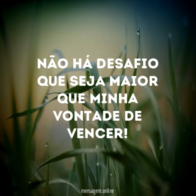 Não há desafio que seja maior que minha vontade de vencer