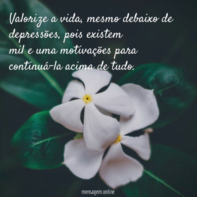 Valorize a vida