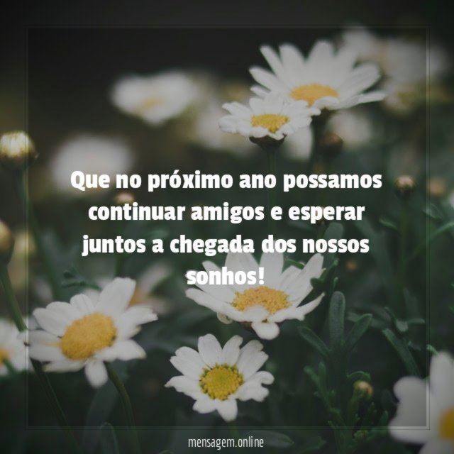 Que no próximo ano possamos continuar amigos