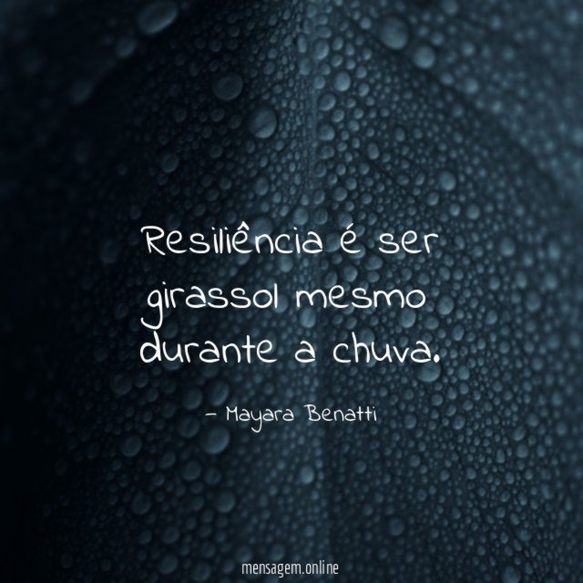 Resiliência é ser girassol mesmo durante a chuva