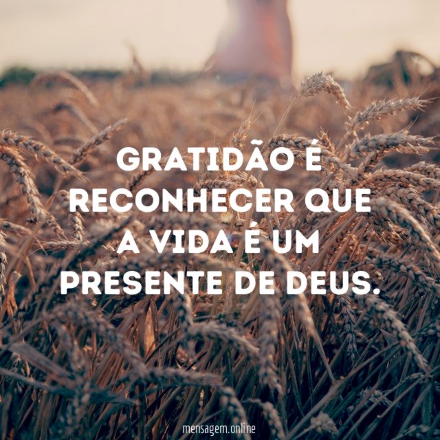 Gratidão é reconhecer que a vida é um presente de Deus