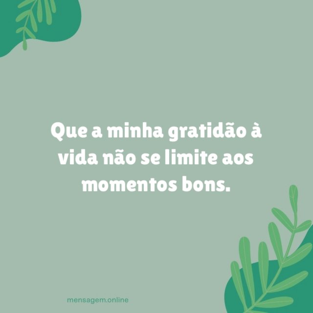 Que a minha gratidão à vida não se
