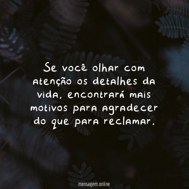 Se você olhar com atenção os detalhes da vida