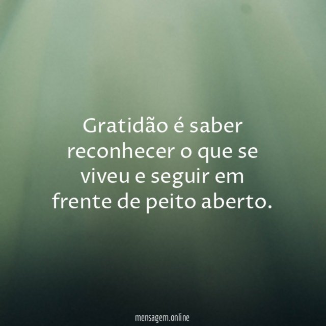 Gratidão é saber reconhecer o que se viveu