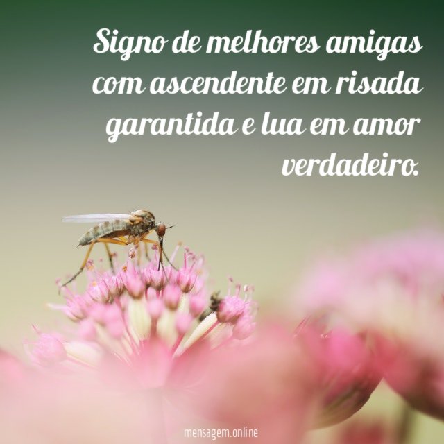 Signo de melhores amigas com ascendente em risada