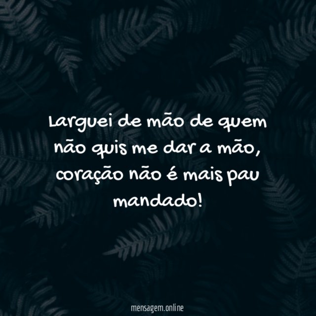 Larguei de mão de quem não quis me