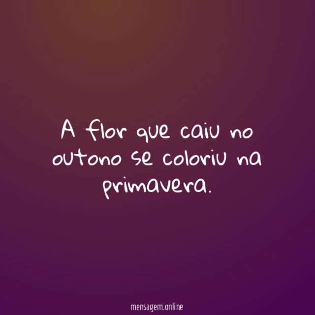 A flor que caiu no outono se coloriu na primavera