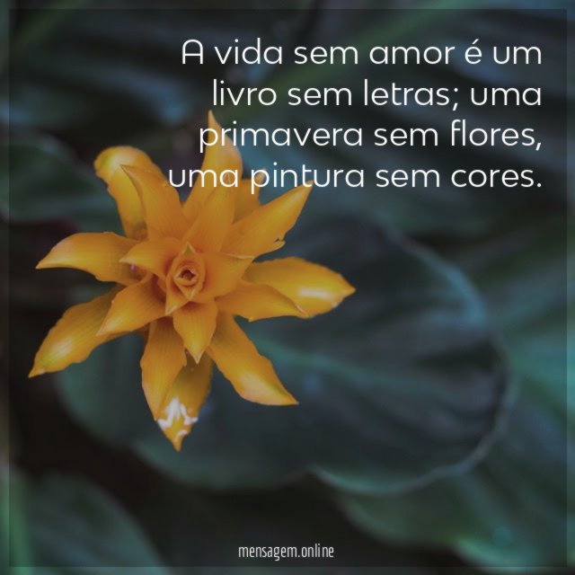 A vida sem amor é um livro sem letras