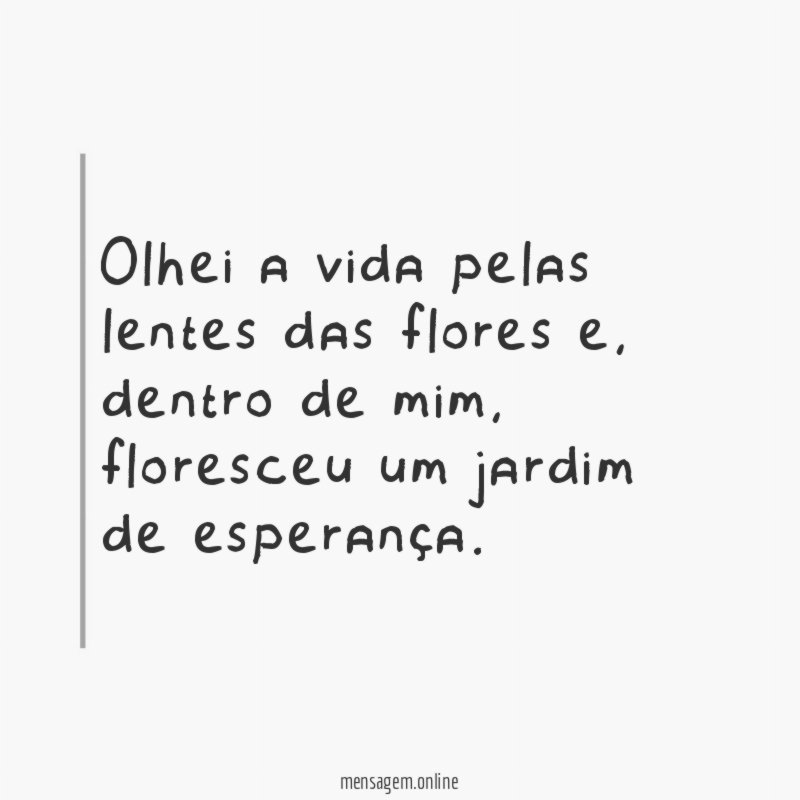 Olhei a vida pelas lentes das flores