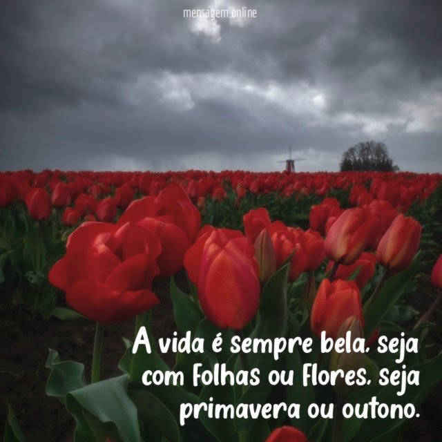 A vida é sempre bela