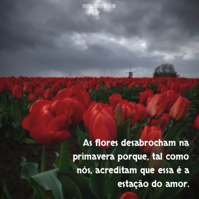 As flores desabrocham na primavera porque