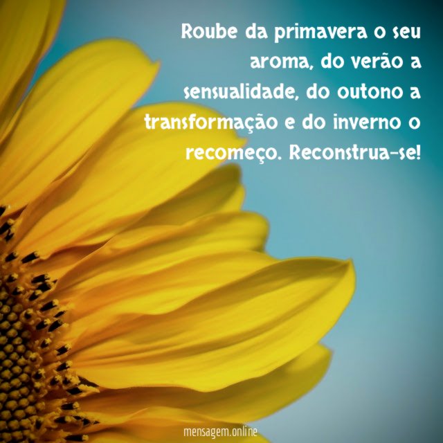 Roube da primavera o seu aroma