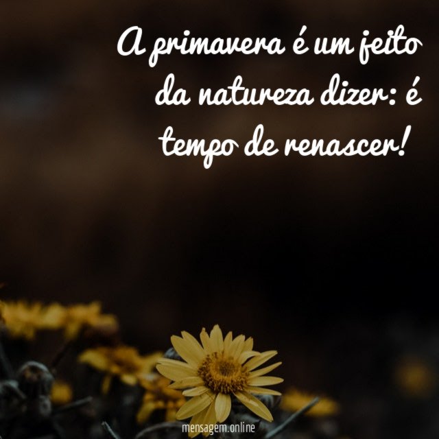 A primavera é um jeito da natureza dizer