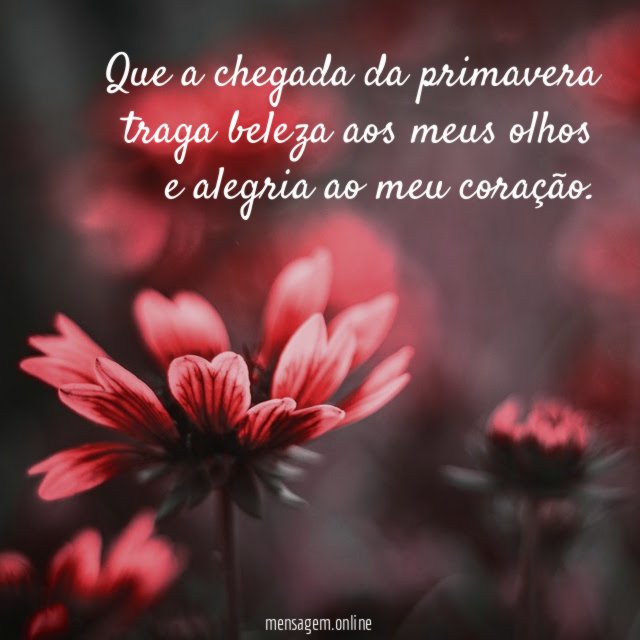 Que a chegada da primavera traga beleza aos
