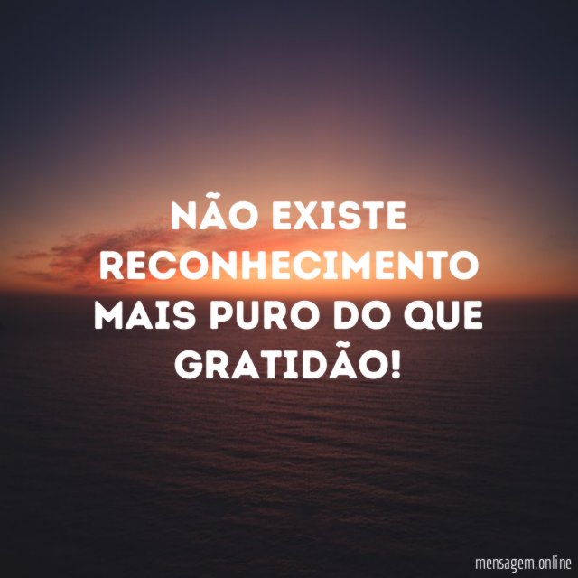 Não existe reconhecimento mais puro do que gratidão