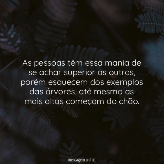 As pessoas têm essa mania de se achar superior as outras