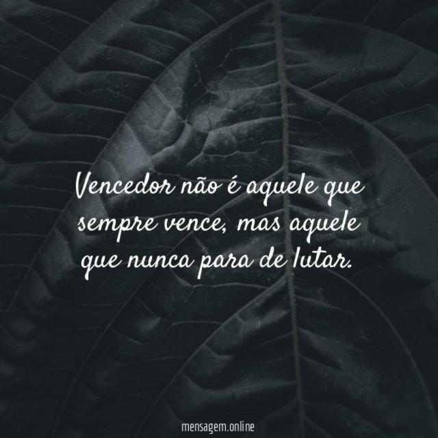 Vencedor não é aquele que sempre vence