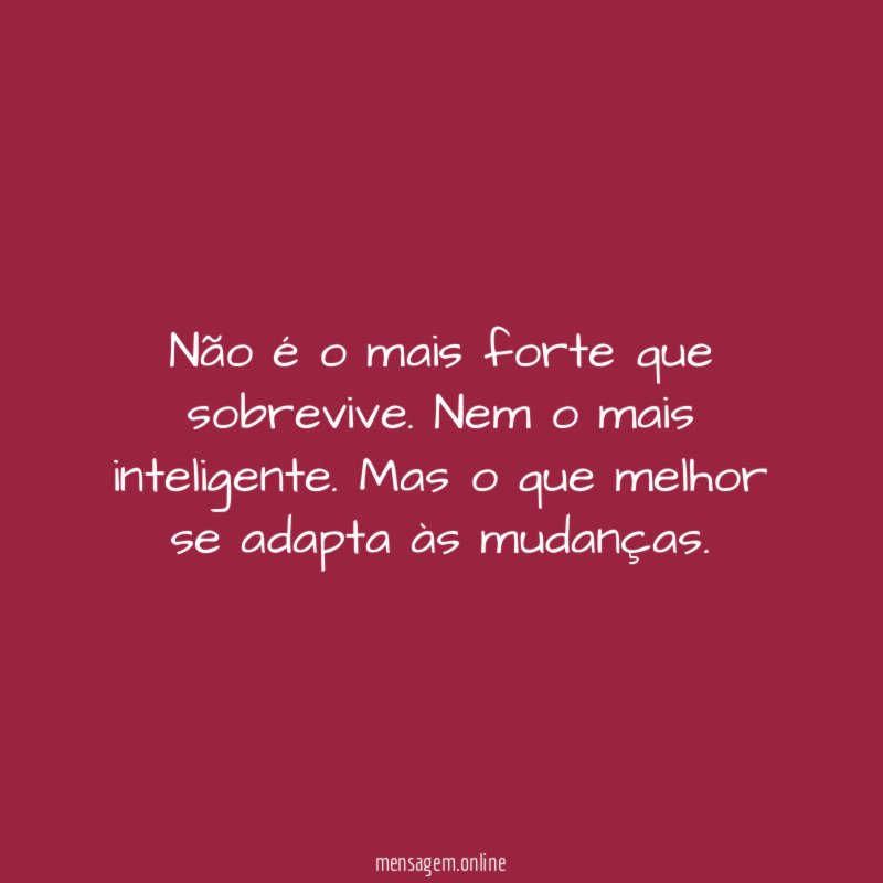 Não é o mais forte que sobrevive