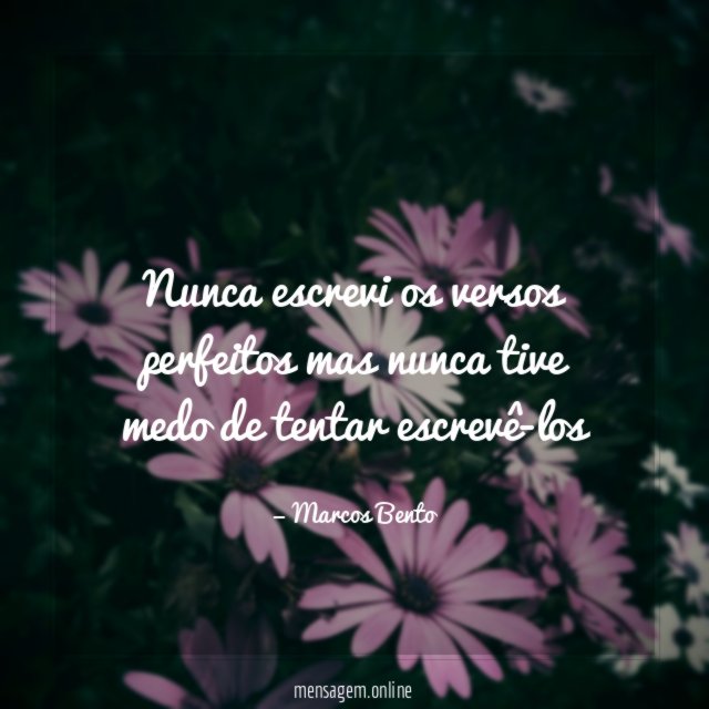 Nunca escrevi os versos perfeitos mas nunca tive