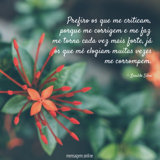 Prefiro os que me criticam