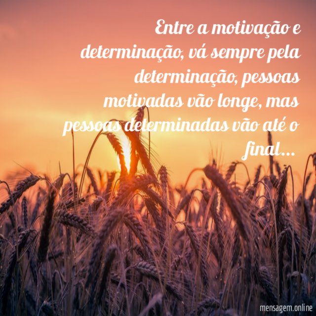 Entre a motivação e determinação