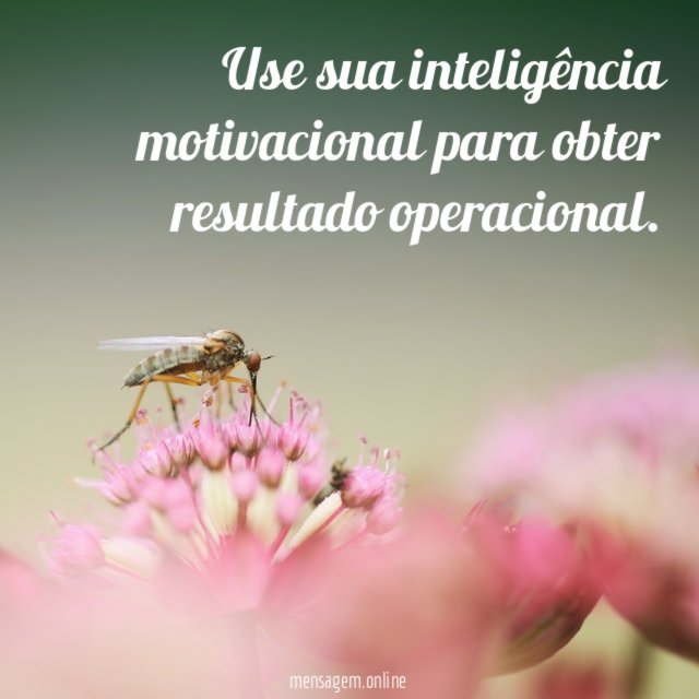 Use sua inteligência motivacional para obter resultado operacional