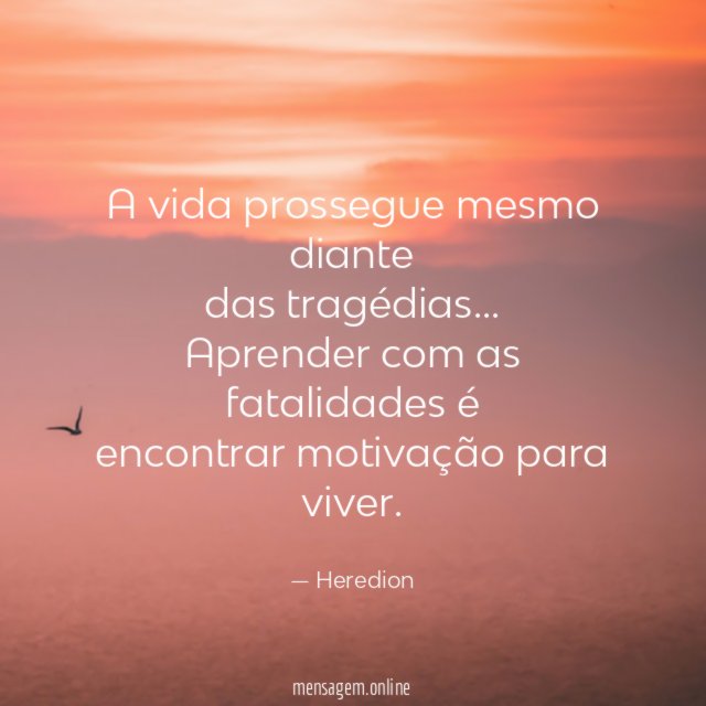 A vida prossegue mesmo diante das tragédias