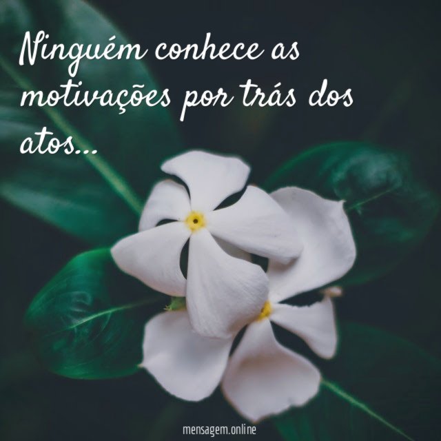 Ninguém conhece as motivações por trás dos atos