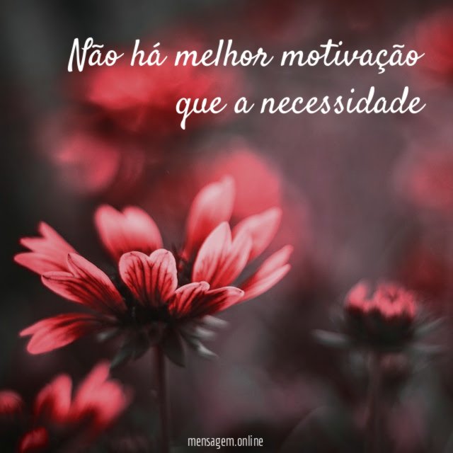 Não há melhor motivação que a necessidade