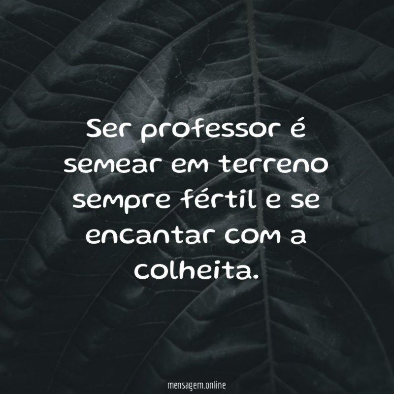 Ser professor é semear