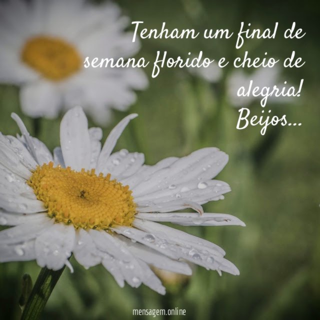 Tenha um final de semana