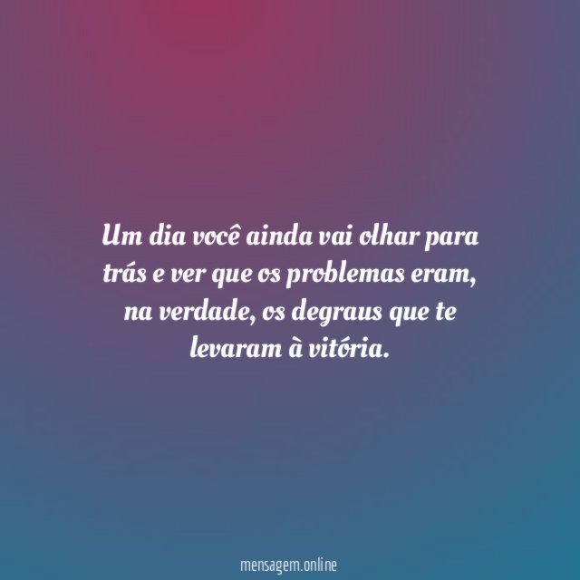 Um dia